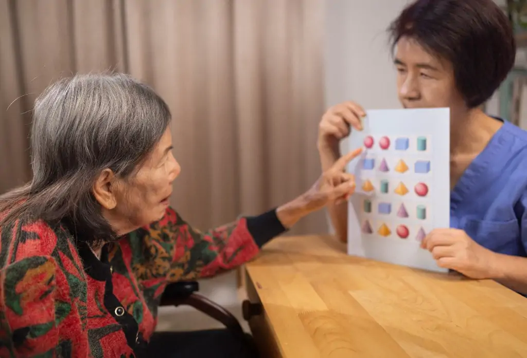 当院での検査と診断のイメージ画像