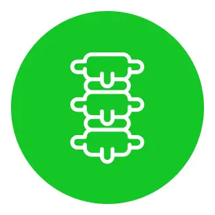 脊椎のアイコン