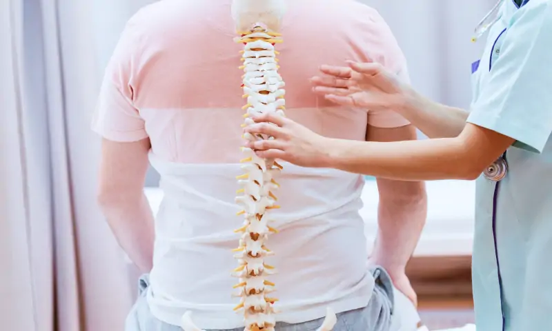 脊椎の説明をする画像