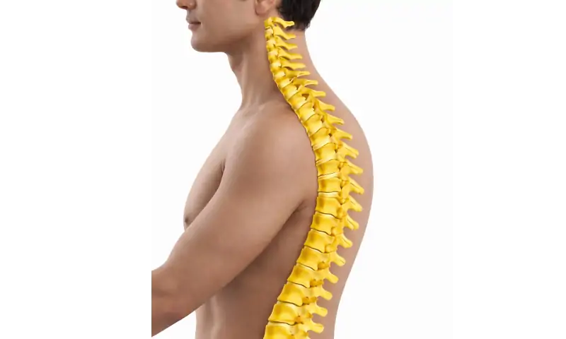 脊椎の精密検査